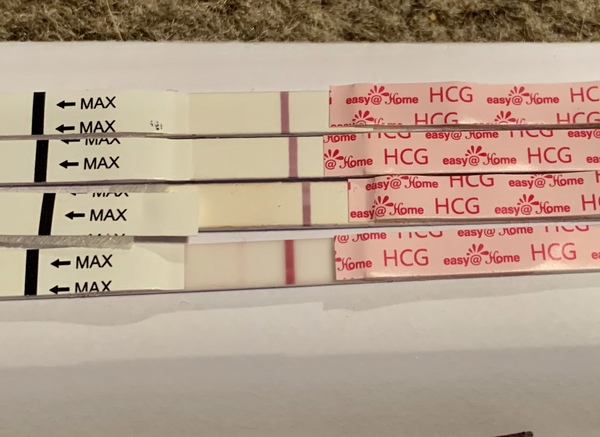 Evap line or BFP?!