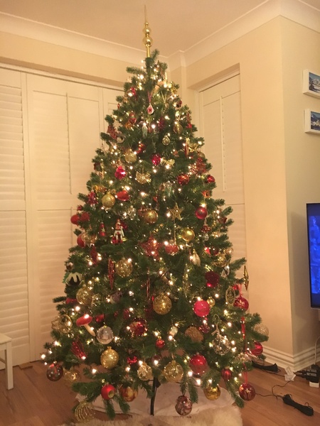 Show me your tree