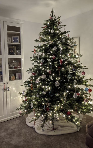 Show me your tree!