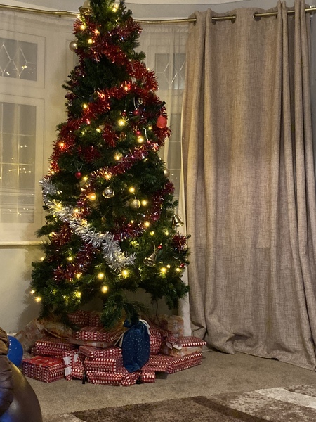 Show me your tree!