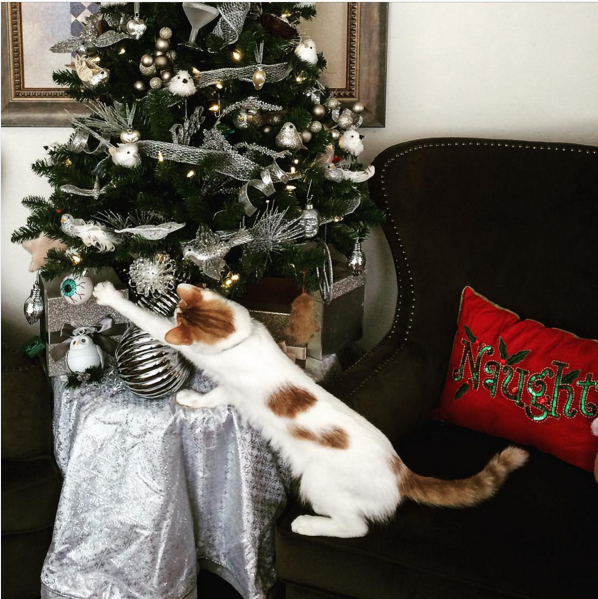 Memey Christmas