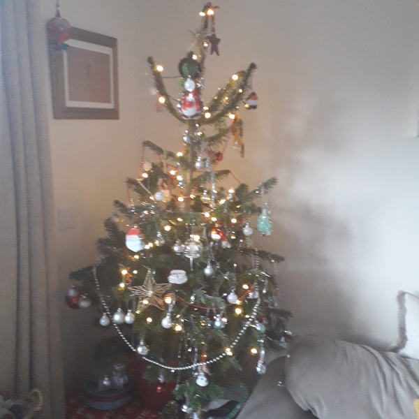 Show me your tree!