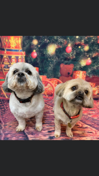 So did your rescue change beyond all recognition once they realised they were home?