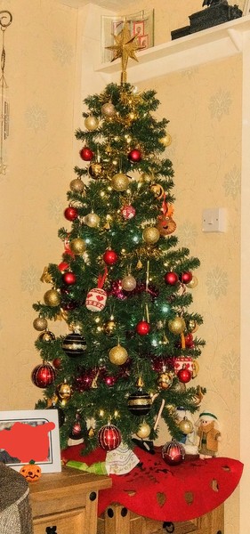 Show me your tree