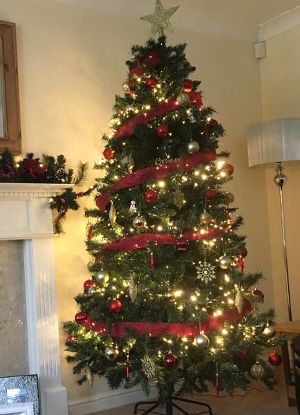 Show me your tree!