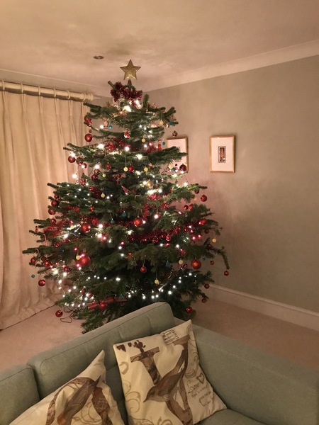 Show me your tree!