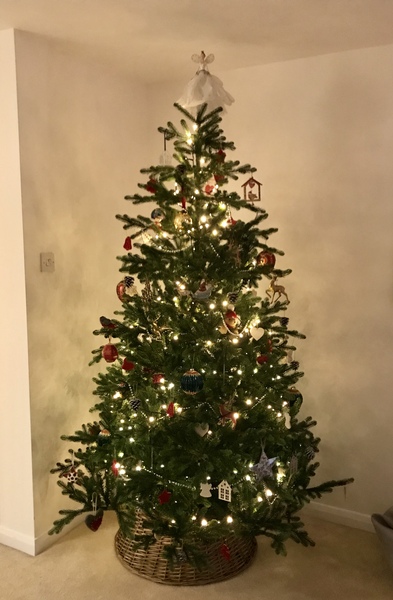 Show me your tree