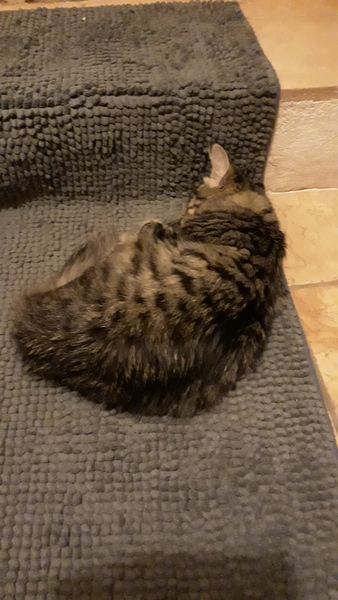 Westminstenders: Penny dropping time