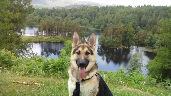 Walks and pub lunch in Lake District