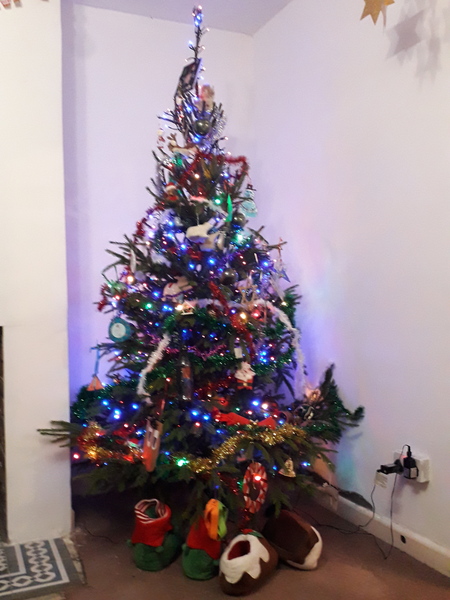 Show me your tree