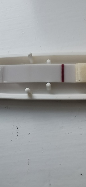 14dpo