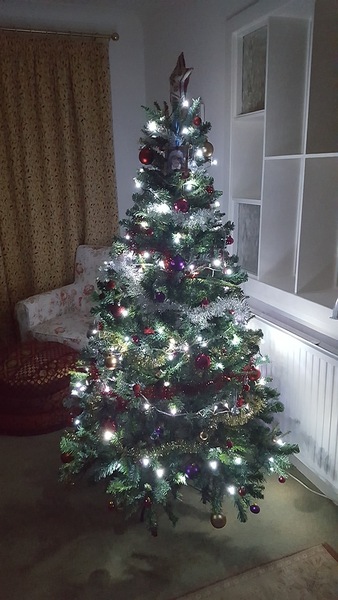To be a tad disappointed with my balsam hill tree