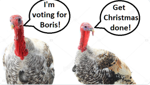 Westminsterenders: Talent or Colour