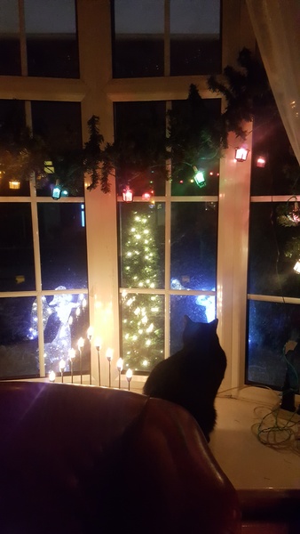 70s Christmas update. The decorations