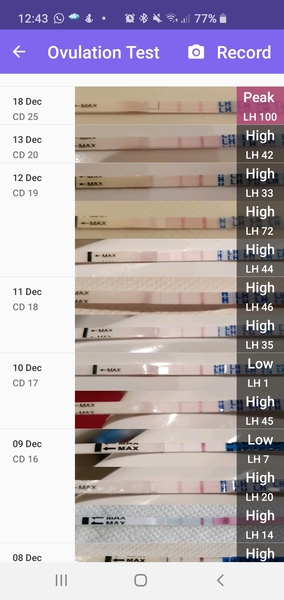 Is this a positive opk - head melted