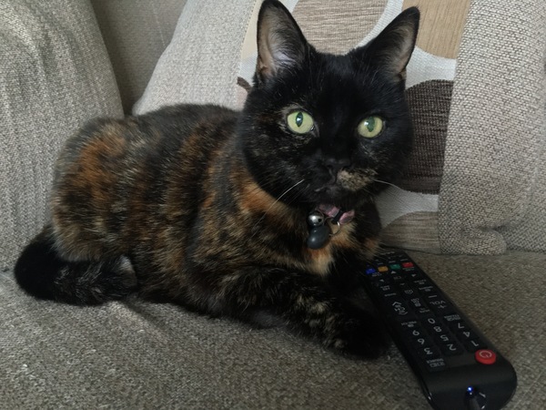 Westminstenders: The Undecideds