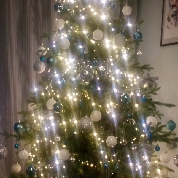 To be a tad disappointed with my balsam hill tree