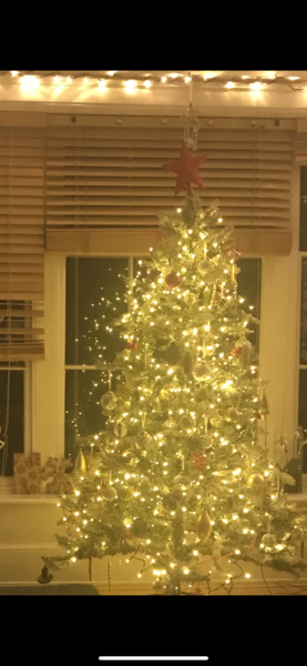To be a tad disappointed with my balsam hill tree