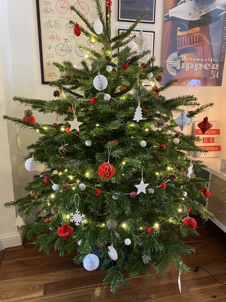 To ask to see your Christmas decorations?