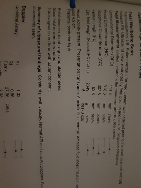 Fetal measurements at 33 weeks... Is this normal? :(
