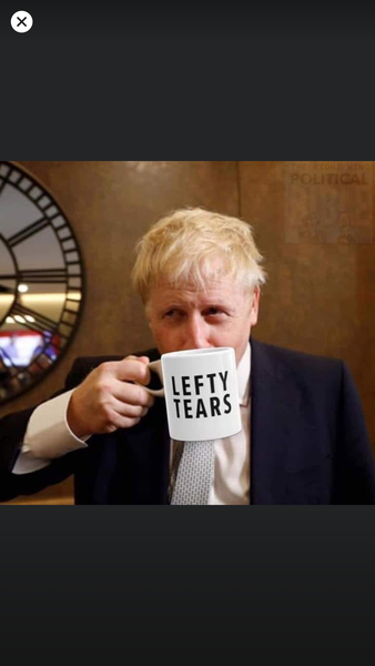 To be looking forward to my free unicorns when labour get into power