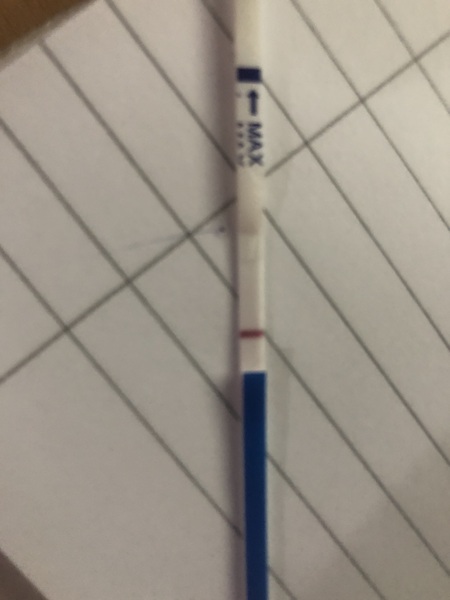 Testing 2nd Week December
