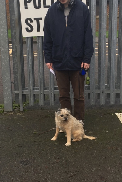 In one sentence who are you voting for and why?