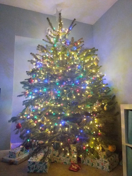 Show me your tree