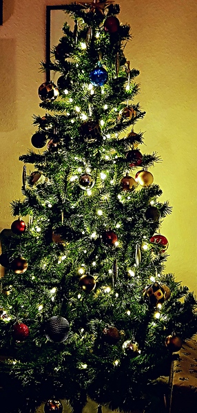 Let’s see your Christmas trees 🎄