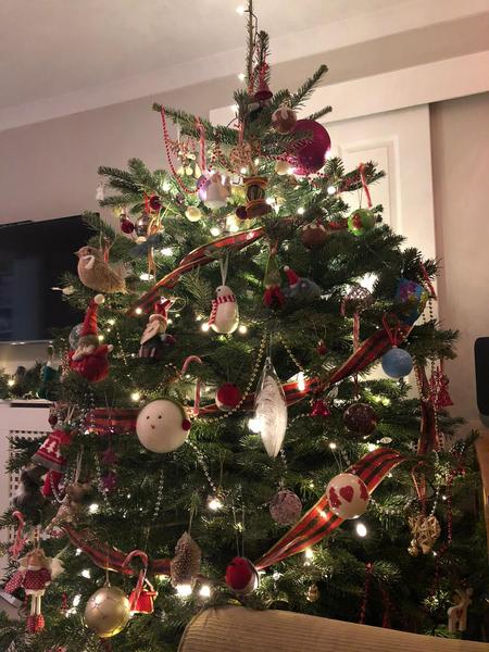 To ask to see your Christmas decorations?