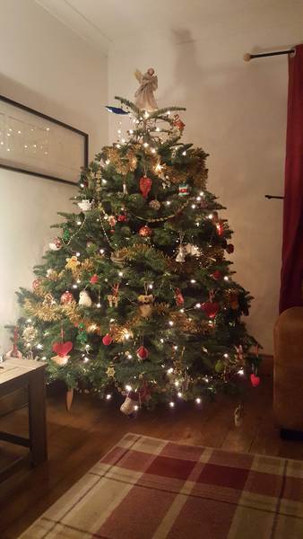 Show me your tree!