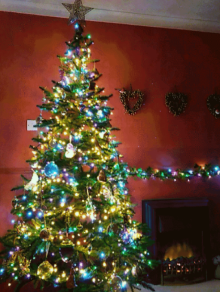 Show me your tree!