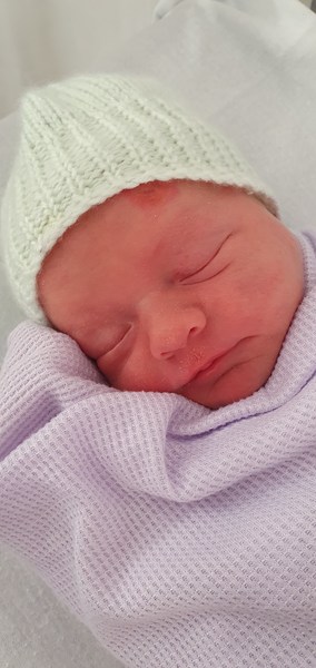 The Graduates of TTC after pregnancy loss thread#5 - 🐧 The Penguin Huddle 🐧