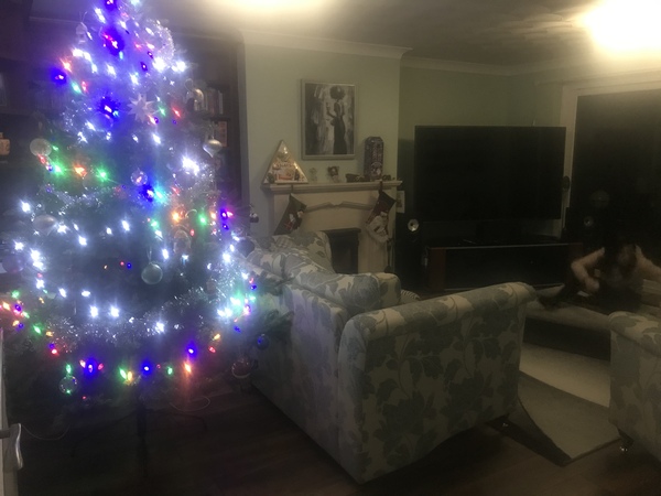 To ask to see your Christmas decorations?