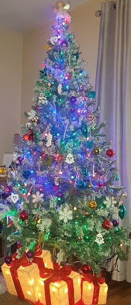 Show me your tree!