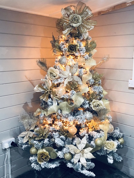 Show me your tree!