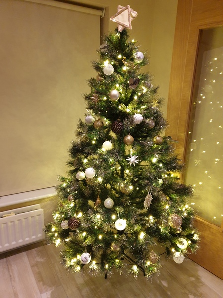 Show me your tree!