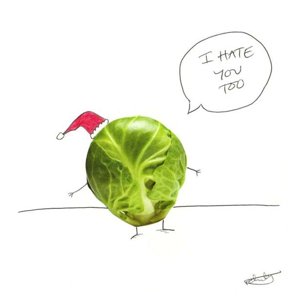 To recycle Christmas cards as soon as I open