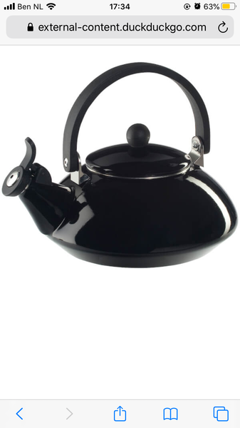 Totally stainless steel kettles?