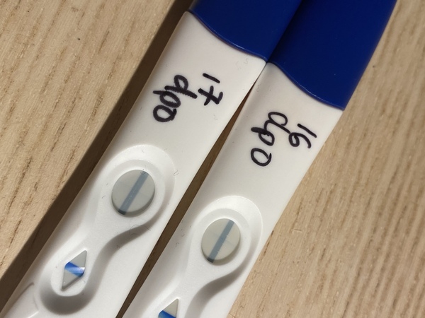 12 DPO - line eyes please