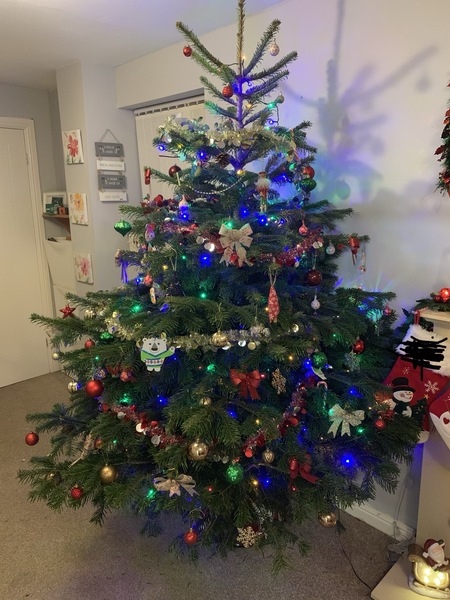 Show me your tree!