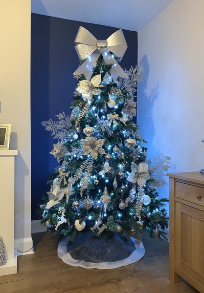 Let’s see your Christmas trees 🎄