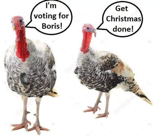 To be sick of ‘turkey voting for Christmas’ comments if you are voting for a party somebody doesn’t like