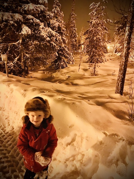 Lapland Dec 2020
