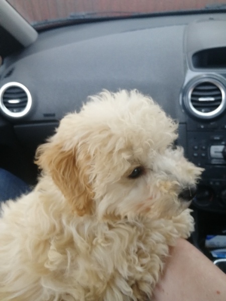 Say hello to my new baby