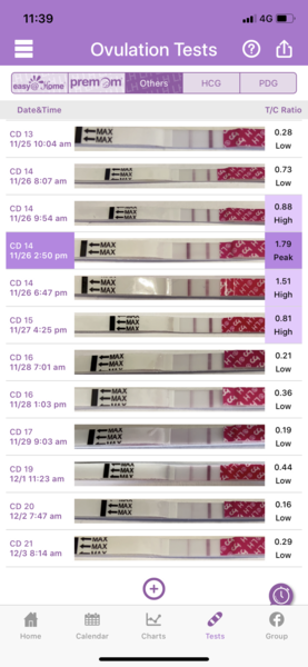 Testing 2nd Week December