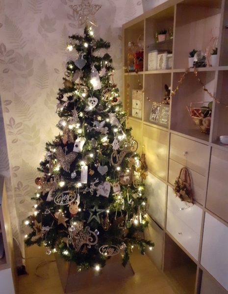 To ask to see your Christmas decorations?