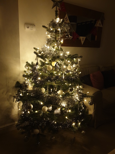 Westminsterenders: Talent or Colour