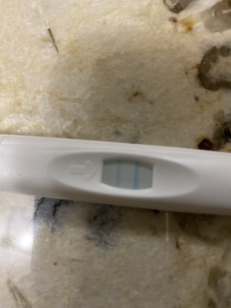 Help! Trying to figure out when ovulating after MMC
