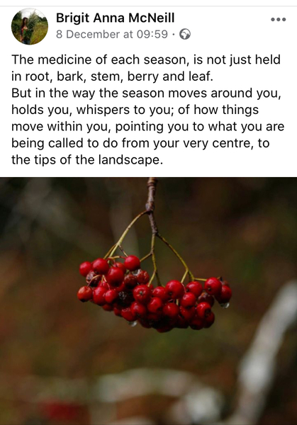 Any Witches Here? Part 10.